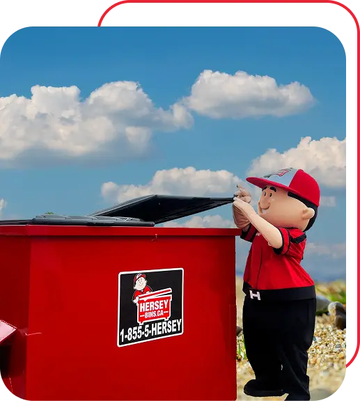 Bin Rentals